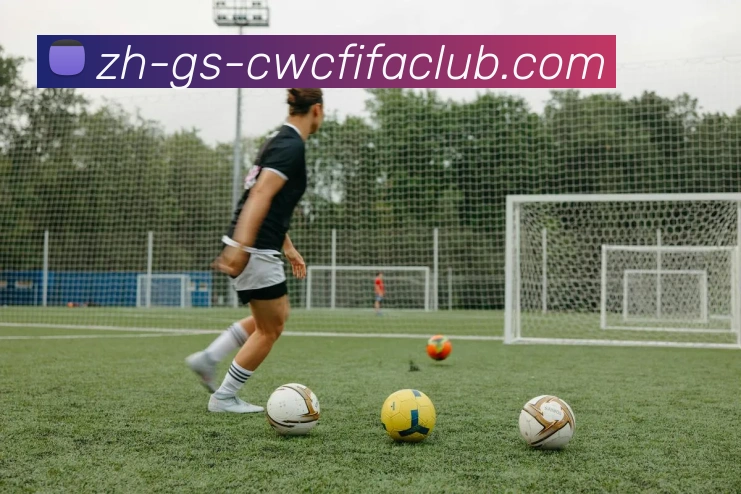 火箭队与太阳队比赛录像的完整回放