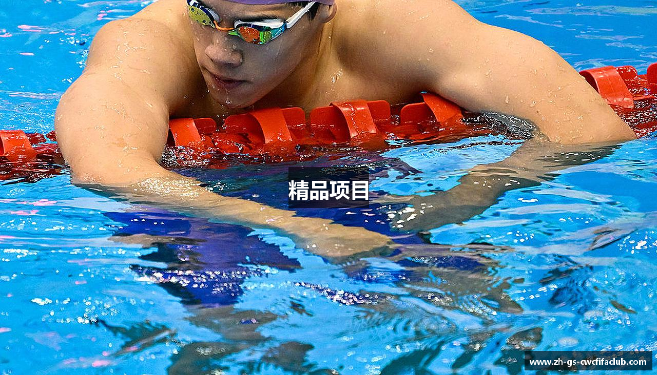 精品项目
